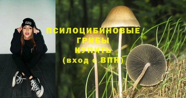 твердый Краснотурьинск